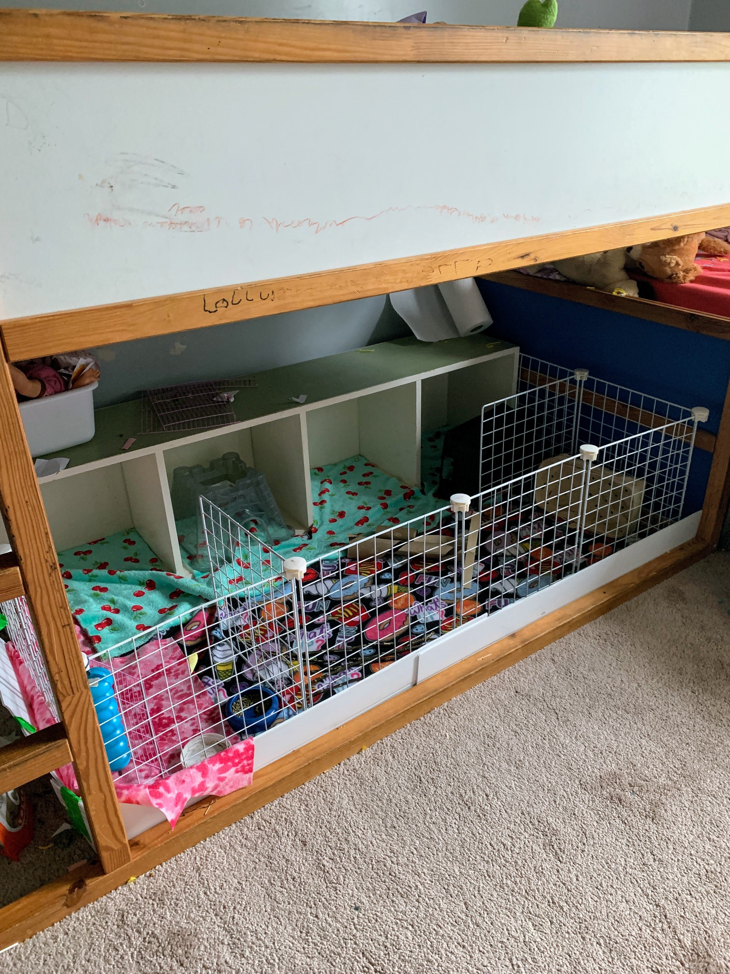 Pig Compound